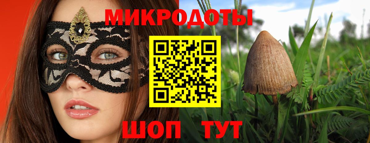 продажа наркотиков  Псилоцибиновые грибы MAGIC MUSHROOMS  Вход с VPN  Скопин  Псилоцибиновые грибы Cubensis 